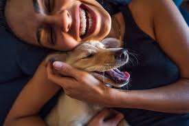 Read more about the article How Dogs Chose Their Favorite Person? Ways to get loved by your pet