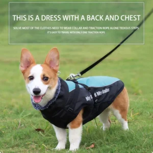 Read more about the article The Evolution of Pet Fashion: A Look at the Latest Trends in Pet Clothing